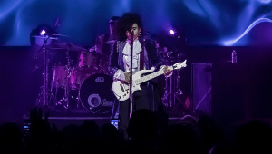 Image of The Prince Experience